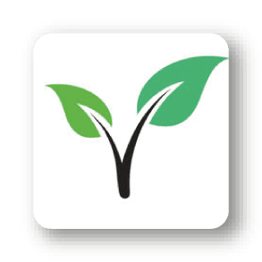 Vegsafe app logo