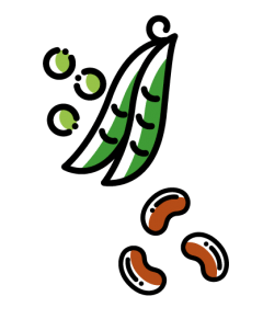 ilustração de leguminosas